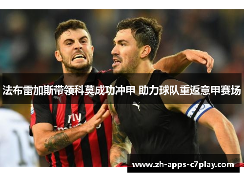 法布雷加斯带领科莫成功冲甲 助力球队重返意甲赛场